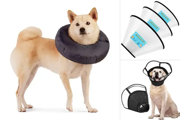 Detailed view of Best NonInflatable Recovery Collar Top Picks for Pet Comfort