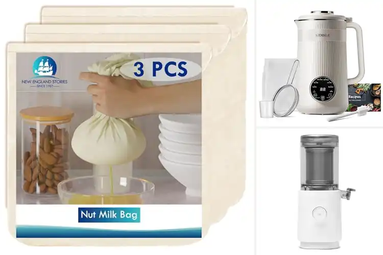 Detailed view of Best Nuts For Homemade Milks: Simple, Creamy Recipes