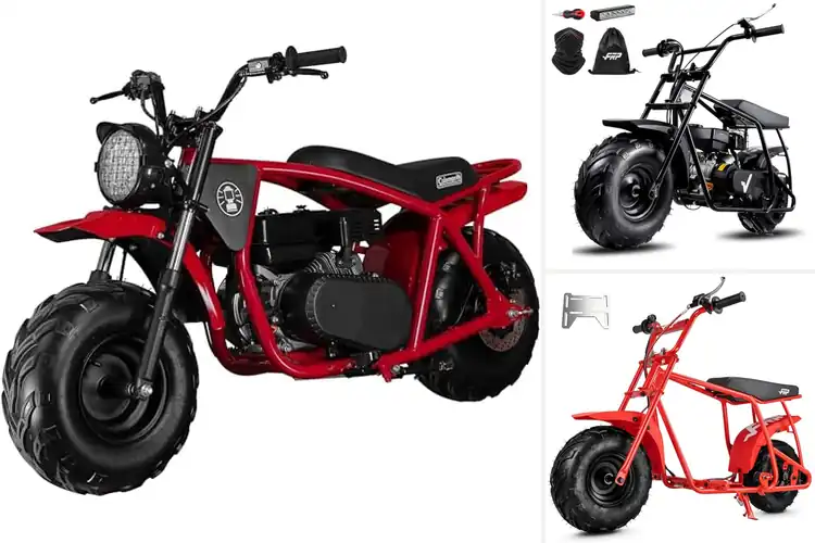 Detailed view of Best Off-Road Mini Bikes: Top 10 Adventure Rides for You
