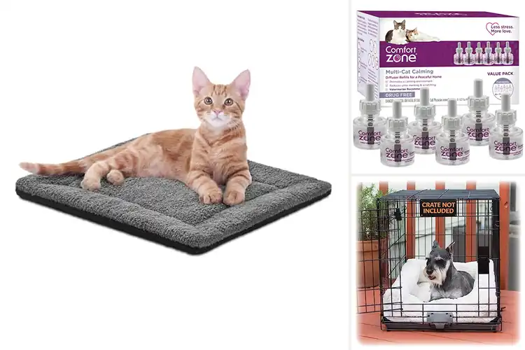 Detailed view of Best Pet Comfort Products
