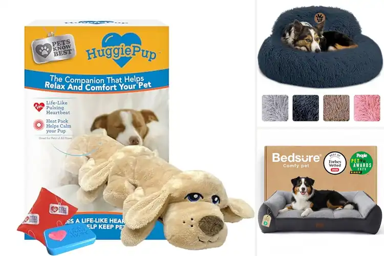 Detailed view of Best Pet Comforts