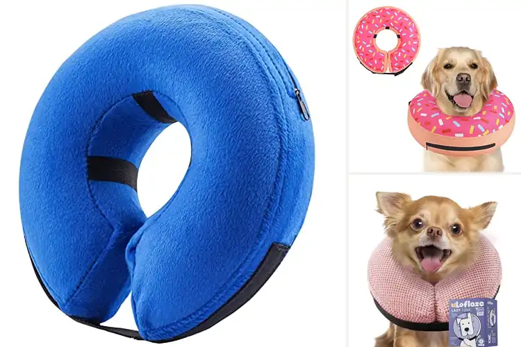 Detailed view of Best Pet Cone Alternatives