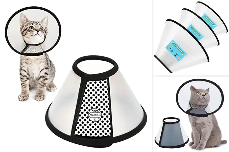 Detailed view of Best Pet Cones: Top 10 Picks for Safe & Comfortable Recovery