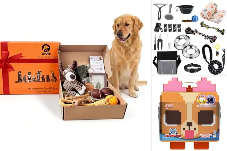 Detailed view of Best Pet Gift Bundles: Spark Joy & Strengthen Your Bond