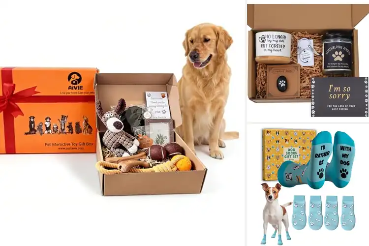 Detailed view of Best Pet Gift Sets: Top 10 Picks for Spoiling Your Pet