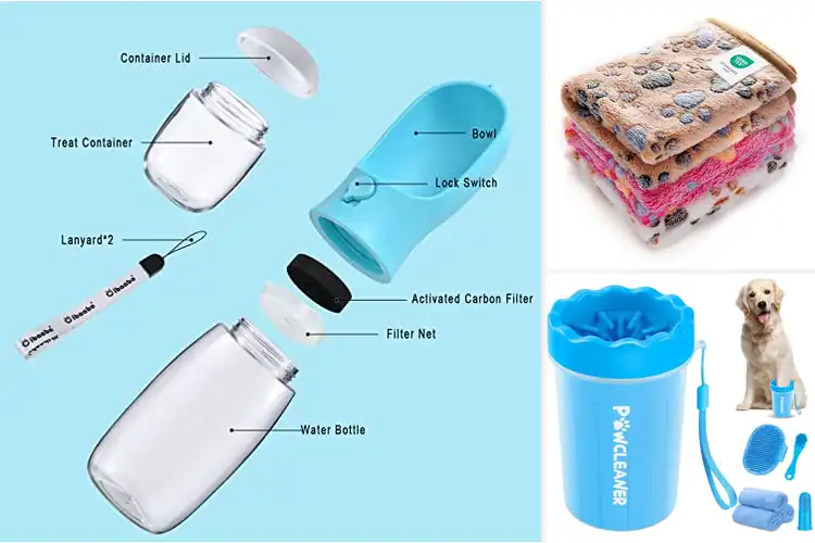 Detailed view of Best Pet Gifts: 10 Unique Ideas to Spoil Your Furry Friend