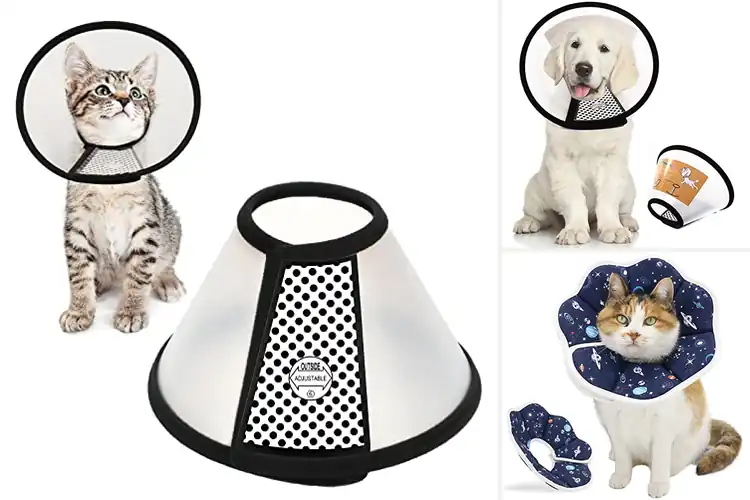 Detailed view of Best Pet Medical Collars