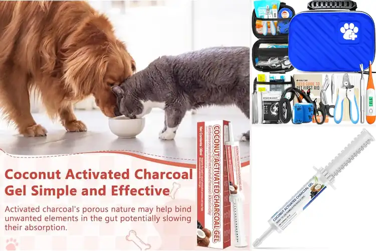 Detailed view of Best Pet Recovery Aids: 10 Emergency Healing & Safety Tools