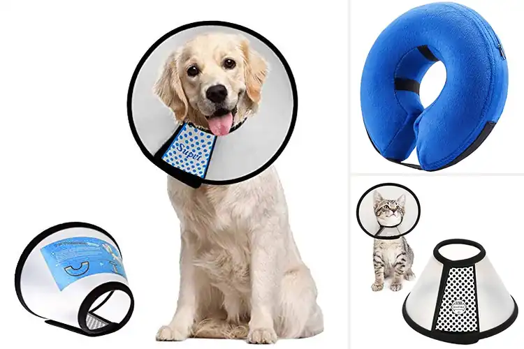 Detailed view of Best Pet Recovery Collars