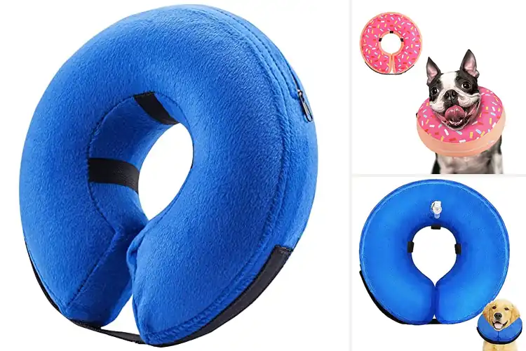 Detailed view of Best Post Surgery Collars