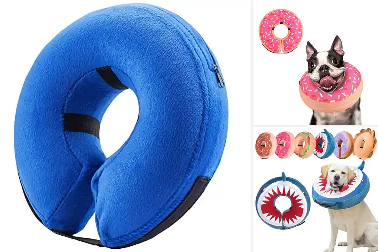 Detailed view of Best Post-Surgery Dog Collars