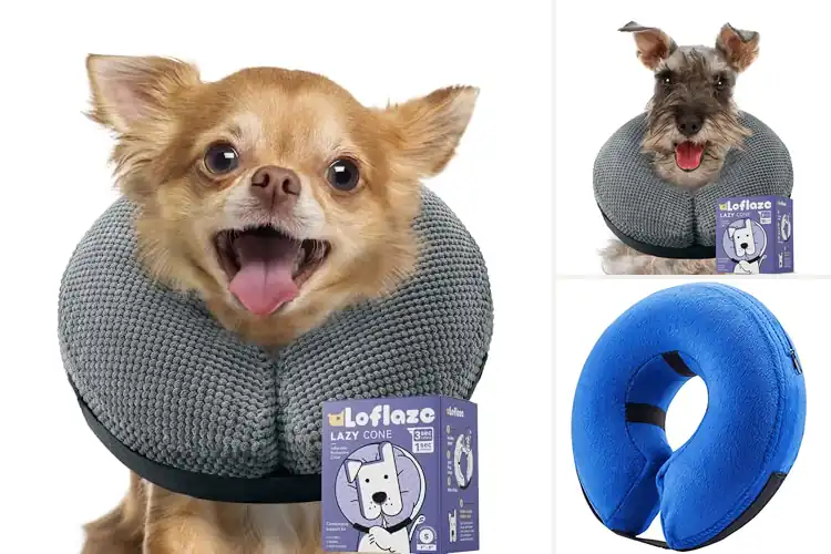 Detailed view of Best Post-Surgery Recovery Collar