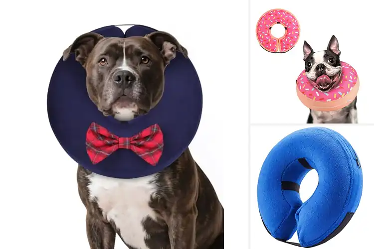 Detailed view of Best Postoperative Dog Cone Alternative