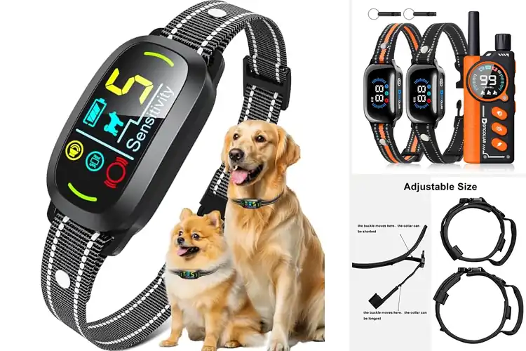 Detailed view of Best Protection Mode Dog Collar