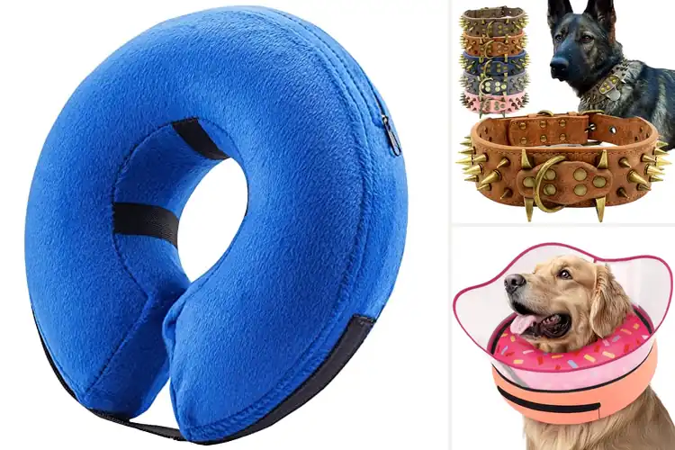 Detailed view of Best Protective Dog Collars