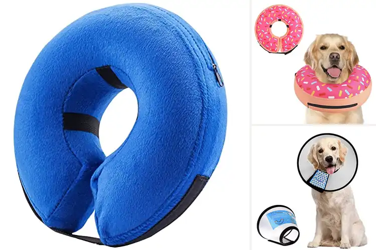 Detailed view of Best Recovery Collar For Dogs : Happy Healing