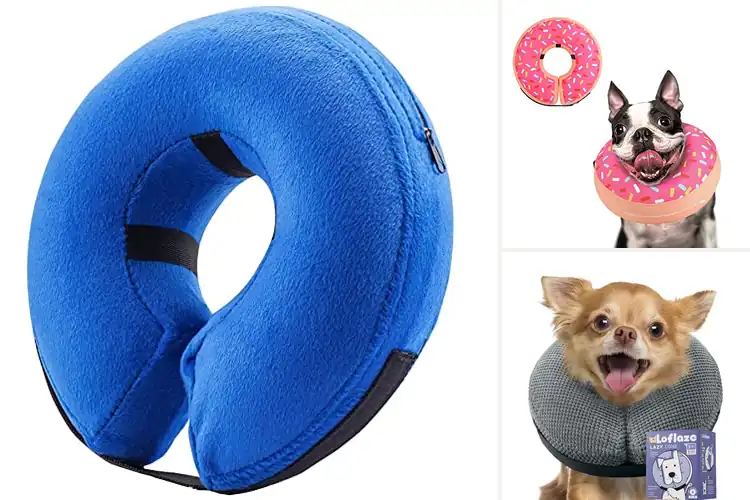 Detailed view of Best Recovery Collar For Post Surgery
