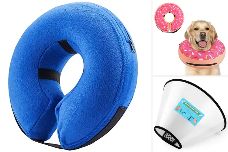 Detailed view of Best Recovery Collar For Surgery Dogs