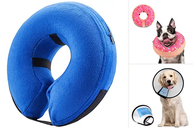 Detailed view of Best Recovery Collar For Surgery