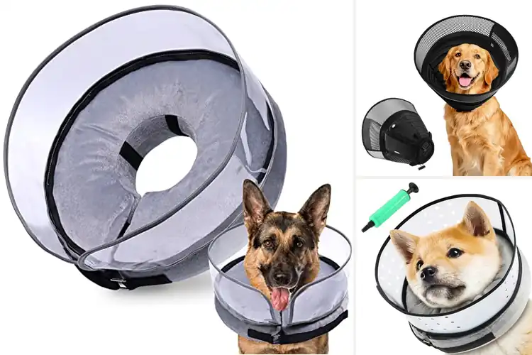Detailed view of Best Recovery Collar With Shield