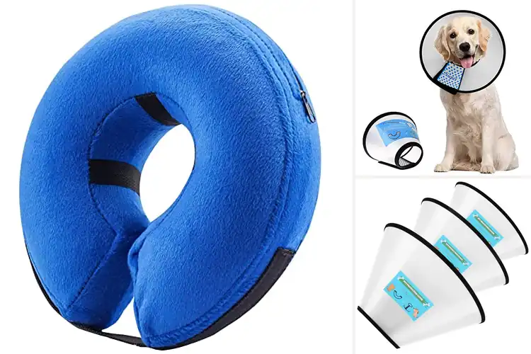 Detailed view of Best Recovery Collars