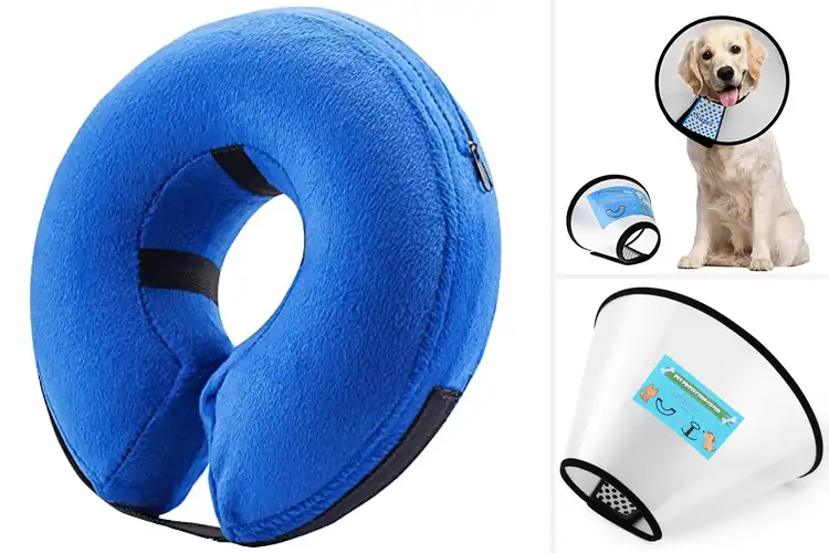 Detailed view of Best Recovery Dog Cone