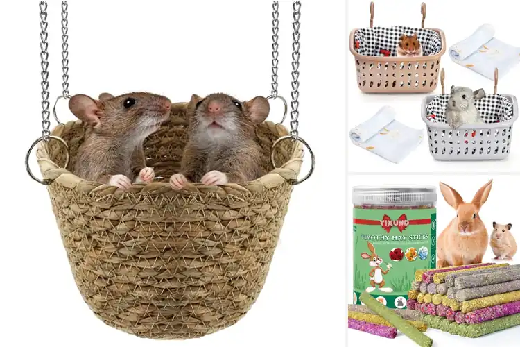 Detailed view of Best Rodent Chew Accessories: Happy & Healthy Pets