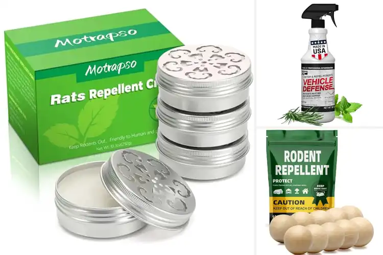 Detailed view of Best Rodent Health Products