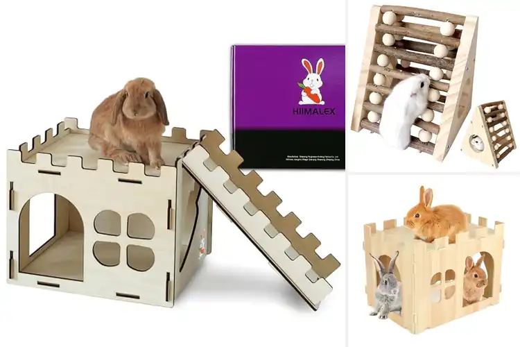 Detailed view of Best Rodent Hideouts And Play Structures