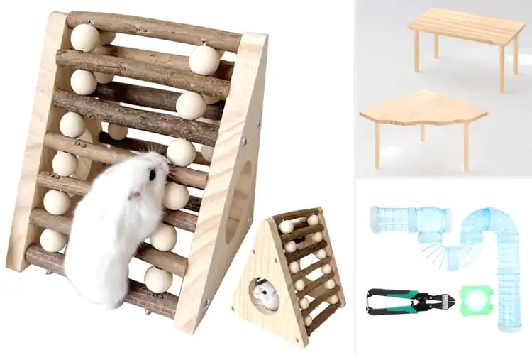 Detailed view of Best Rodent Playground Sets for Active Pets