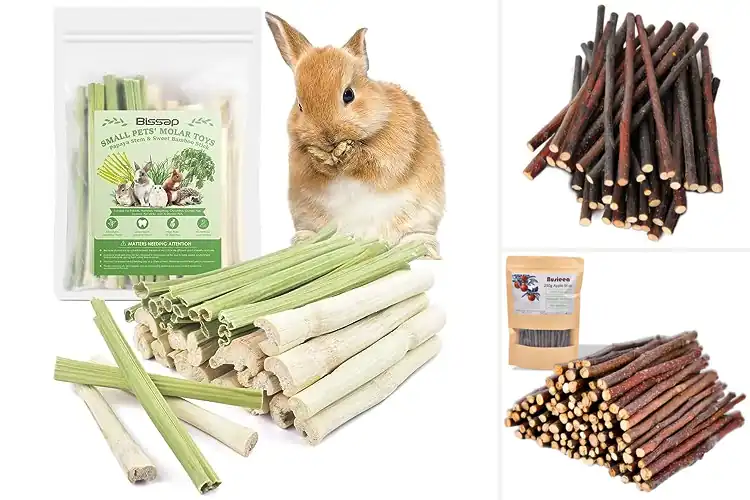 Detailed view of Best Safe Chew Sticks For Rodents