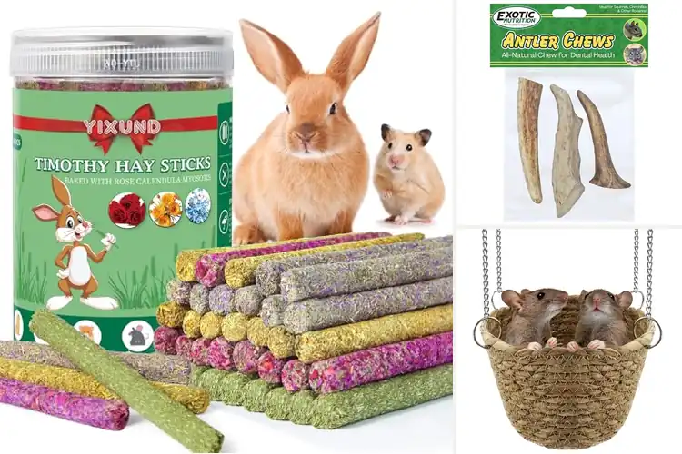 Detailed view of Best Safe Rodent Chews: 8 Top Picks for Happy, Healthy Pets