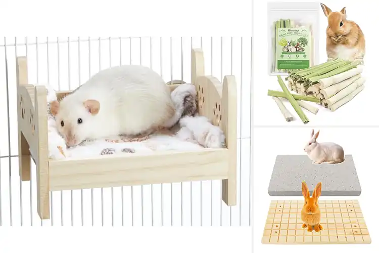Detailed view of Best Safe Wooden Rodent Chews