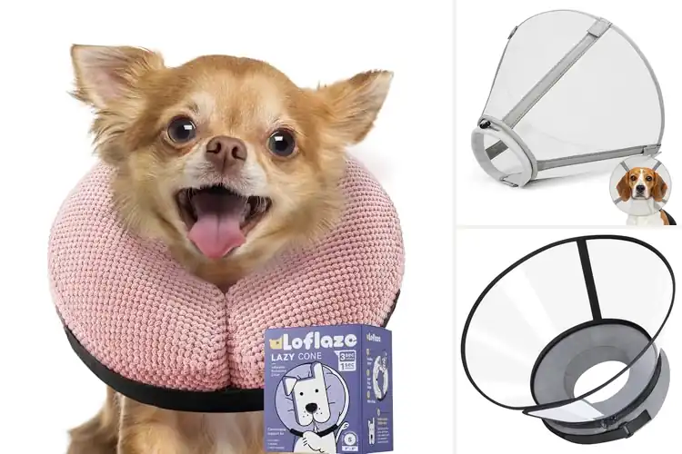 Detailed view of Best Size 4 Dog Cone: Top 6 Comfy & Safe Recovery Options