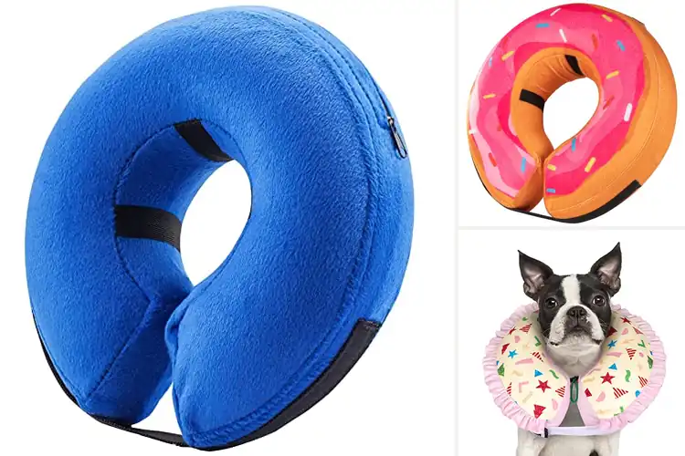 Detailed view of Best Size Range Large Medium Small Donut Collar