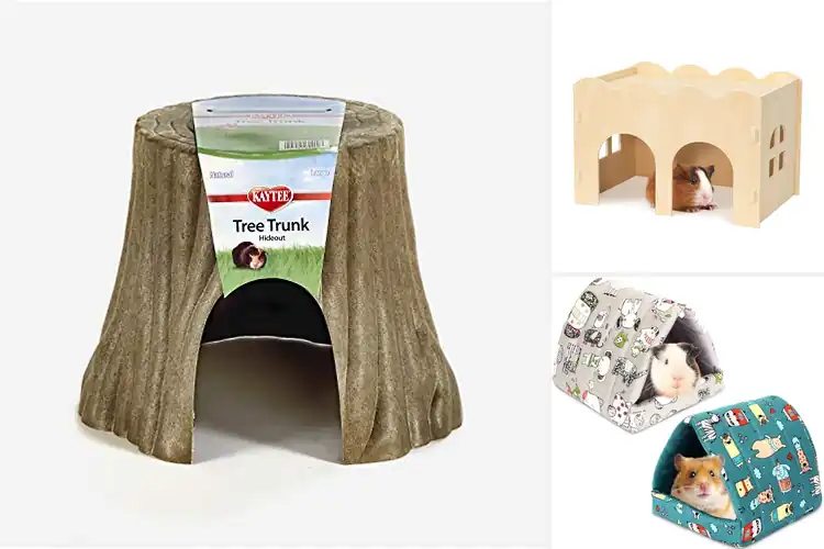 Detailed view of Best Small Animal Hideout: Your Pet’s Cozy Haven Awaits
