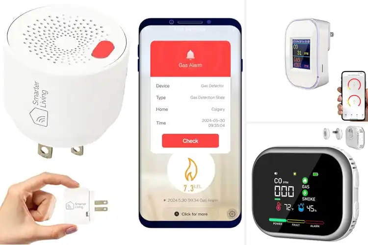 Detailed view of Best Smart Home Gas Detectors