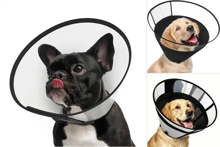 Detailed view of Best Snug Fit Adjustable Dog Collar Cone