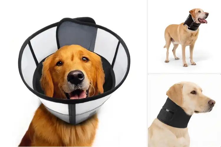 Detailed view of Best Soft Breathable Dog Neck Collar