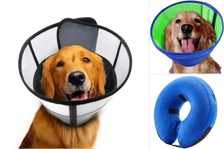 Detailed view of Best Soft Breathable Dog Recovery Collar