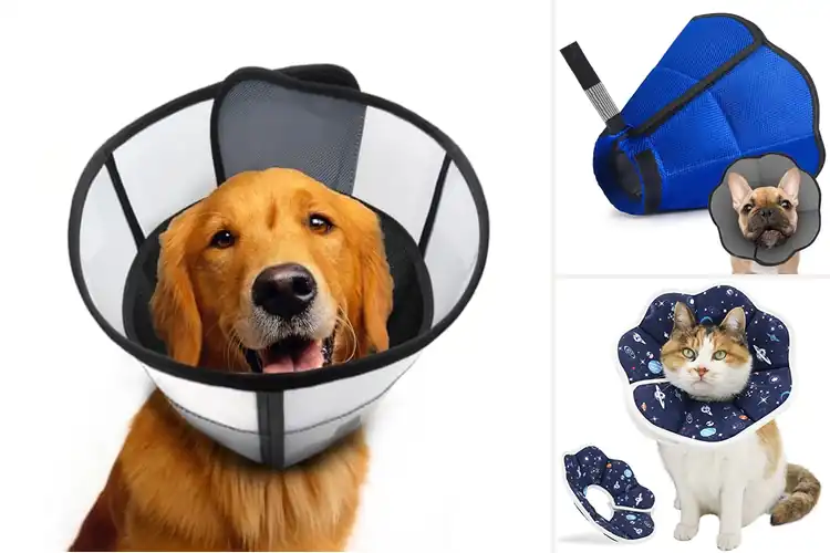 Detailed view of Best Soft Breathable Fabric Cone