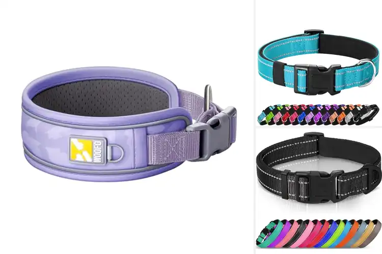 Detailed view of Best Soft Comfort Dog Collar: 10 Top Picks for Happy Walks