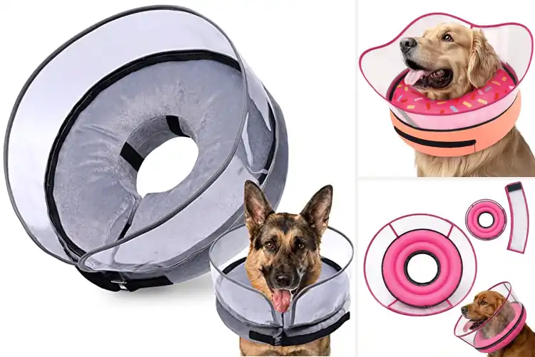 Detailed view of Best Soft Cone With Shield