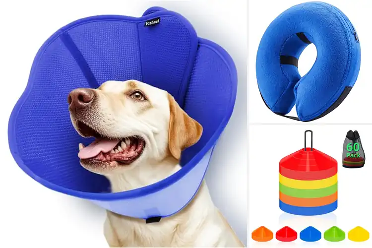Detailed view of Best Soft Cones for Pet Comfort & Safe Recovery