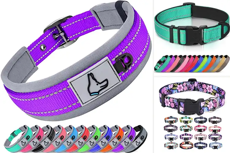 Detailed view of Best Soft Dog Collars: Comfort & Style for Happy Pets