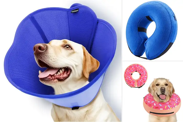 Detailed view of Best Soft Dog Cone Collar: Comfortable Healing for Your Pet