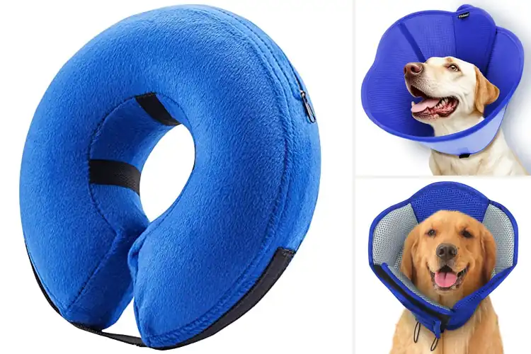 Detailed view of Best Soft Dog Cone For Surgery Recovery