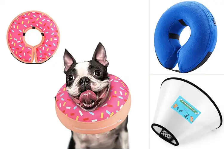 Detailed view of Best Soft Dog Cones