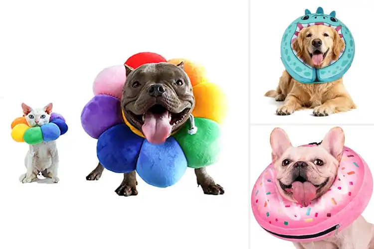 Detailed view of Best Soft Dog Donut Collar For Postoperative Recovery