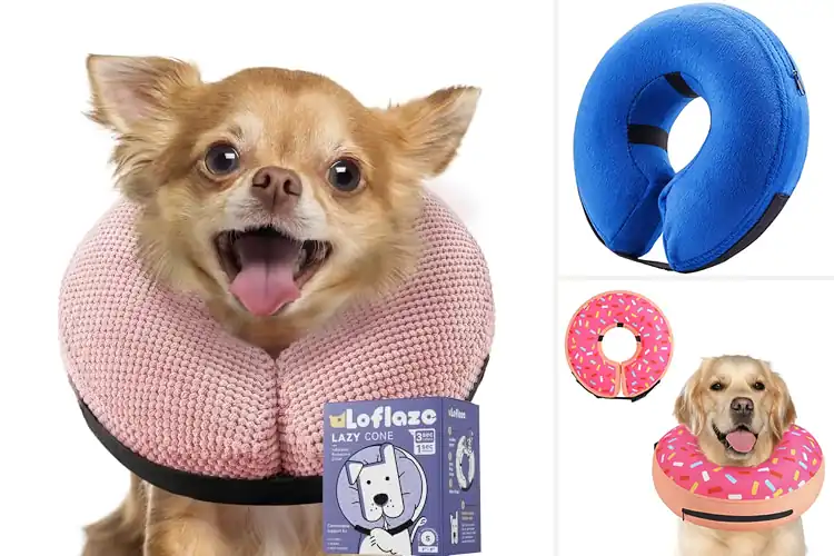 Detailed view of Best Soft Dog Donuts: Comfortable Healing for Happy Pets